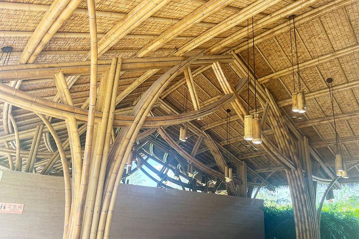 竹结构设计激发环保热潮，引领可持续建筑发展 - 知乎