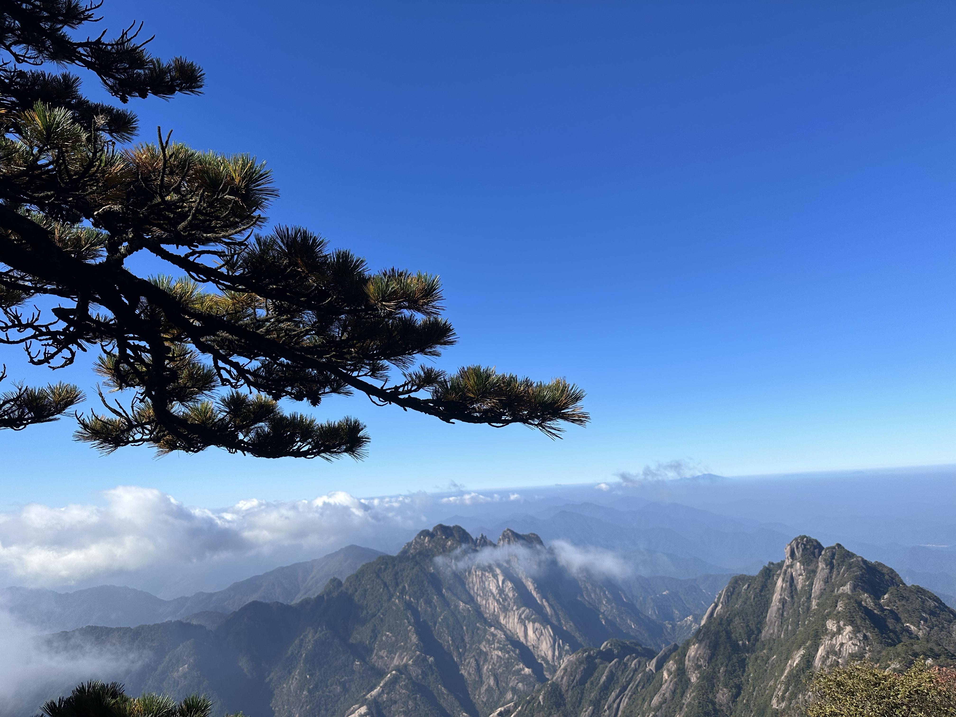 风景图片大全真实照片图片