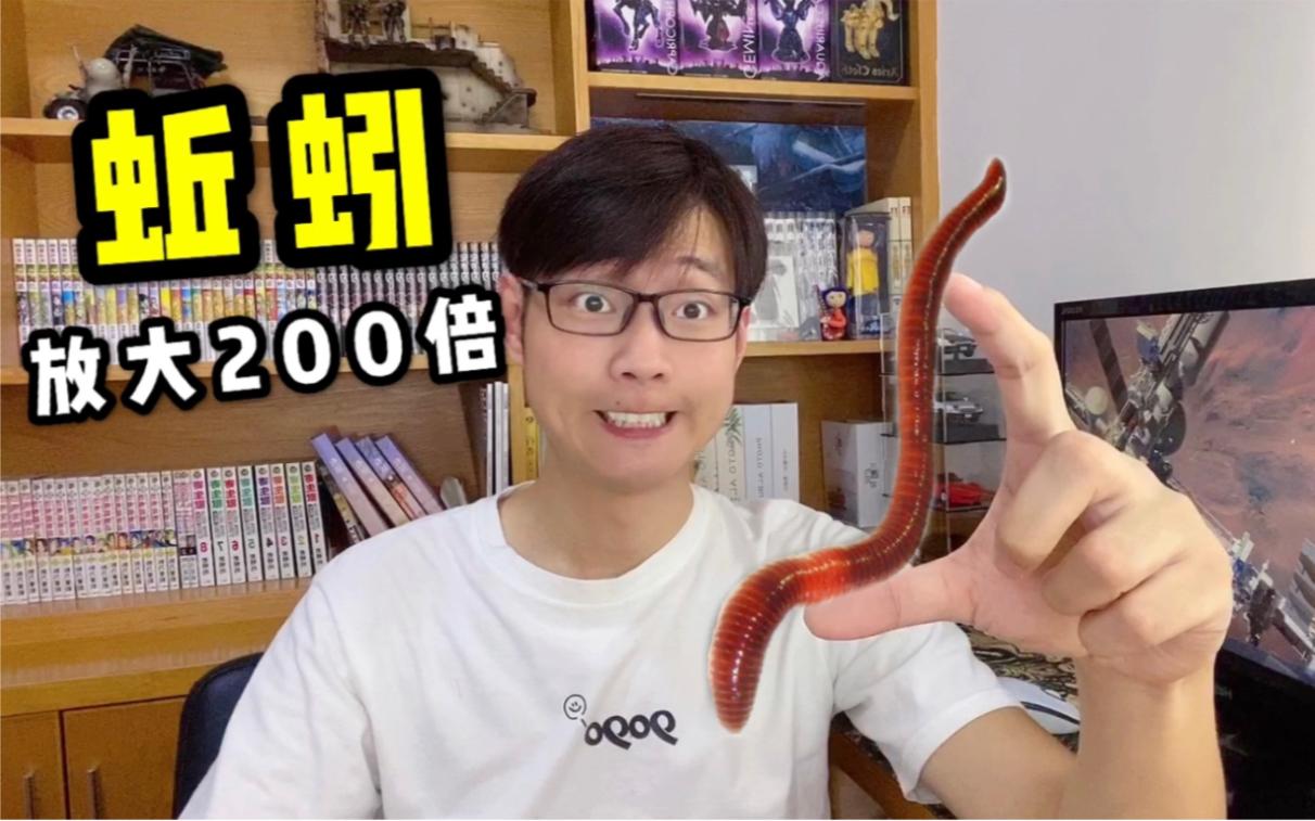 蚯蚓有没有眼睛? - 知乎