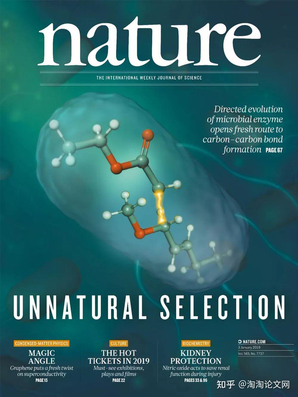 发表一篇sci意味着什么