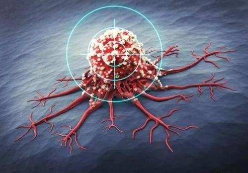 Science | 同时靶向RAS和p53突变体! 双特异抗体激活T细胞攻击RAS,P53突变癌细胞 - 知乎