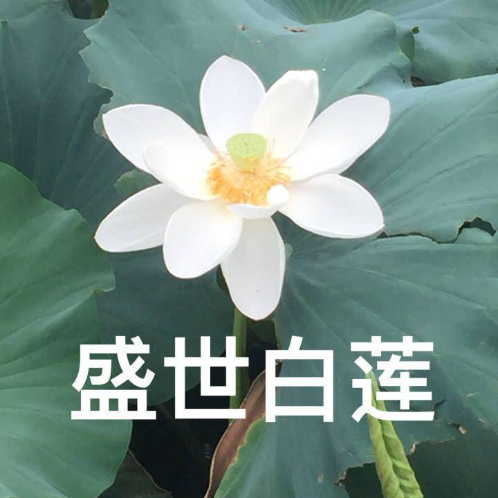 有什么适合四十多岁爸爸妈妈的微信头像? - 知乎