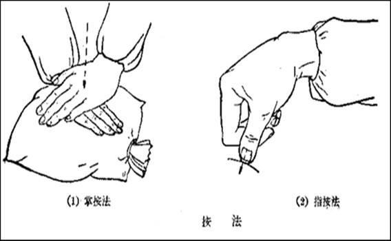 15 种按摩手法的施术要领和作用 按法