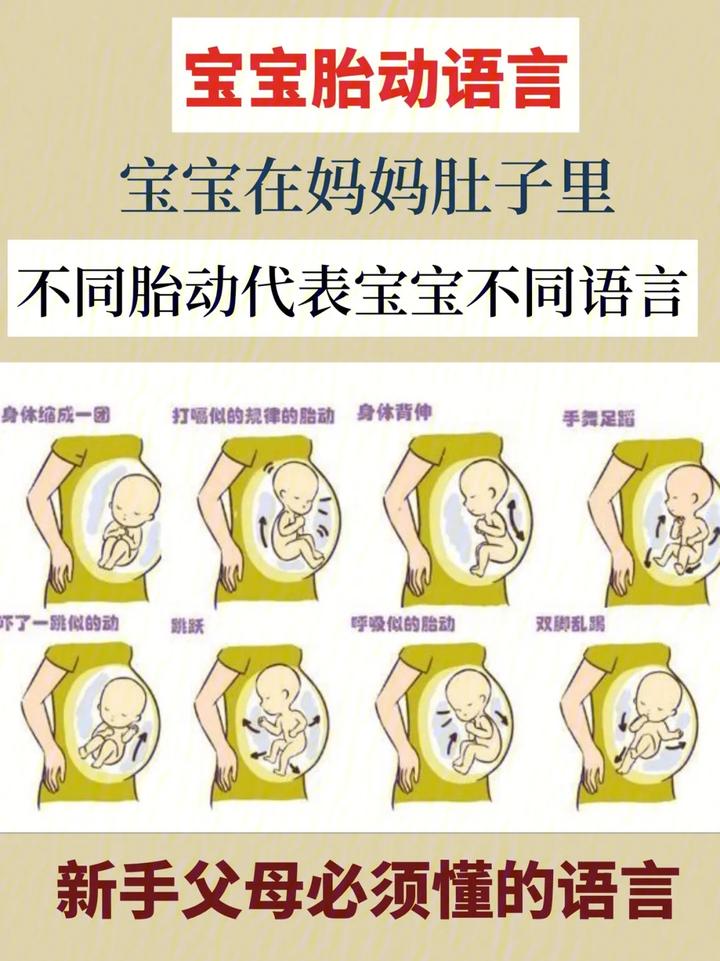 4种不同层次的胎动，层层递进，你知道胎儿要表达什么情绪吗？ - 知乎