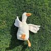 Leo里奥