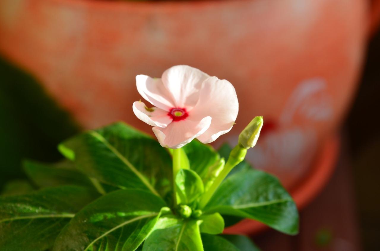 4. 高端品质社区