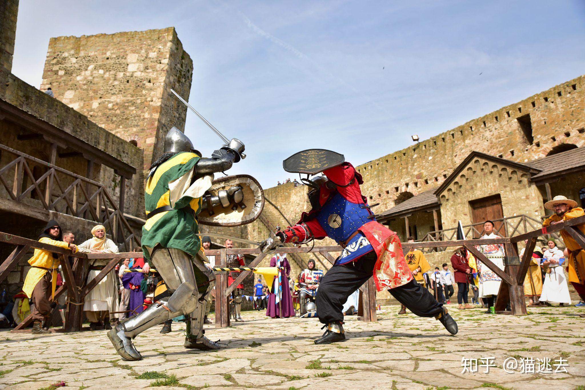 欧洲剑术中单剑 大盾组合,盾牌除了格挡还有什么作用? - 知乎