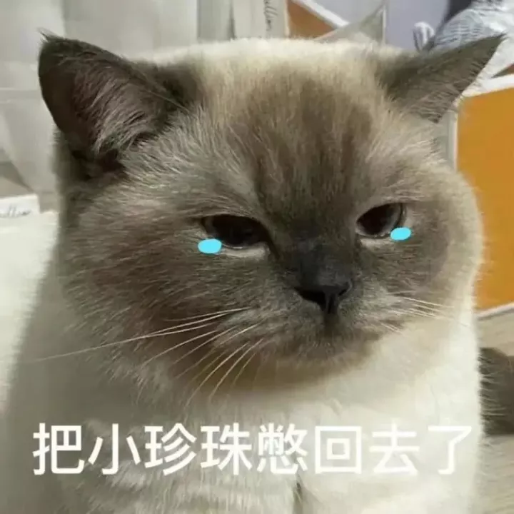 138张特别可爱猫猫的动态图或表情包