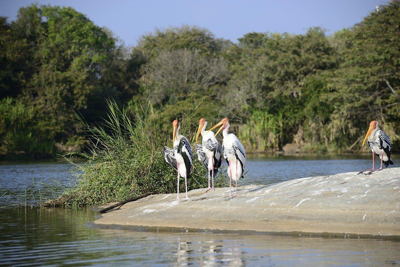 4. 湖景房热销中