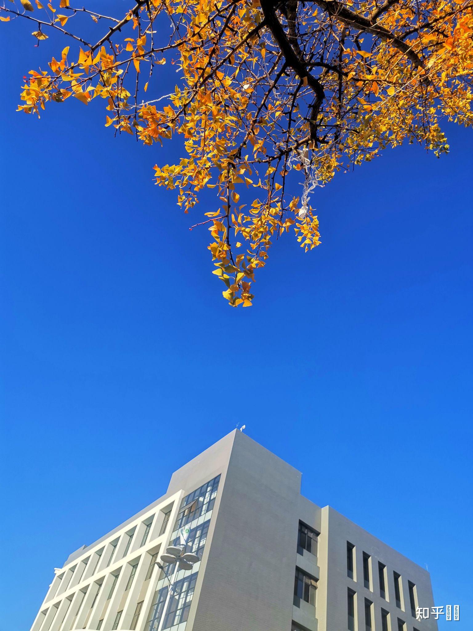 西南林业大学怎么样? - 知乎