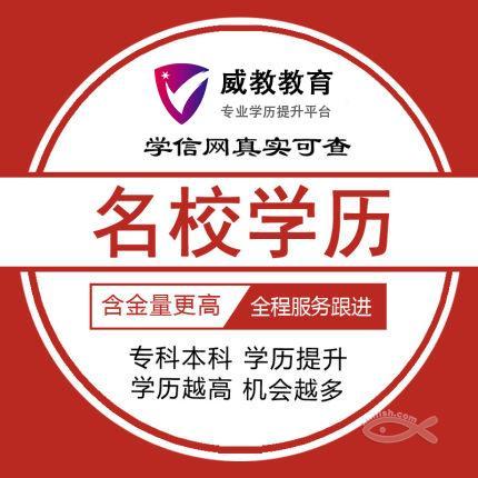 自考网络教育成人教育大专本科火热报名
