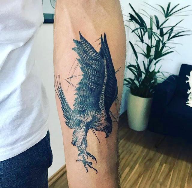 你们认为白凖海东青这个素材如何成熟的作品都有哪些