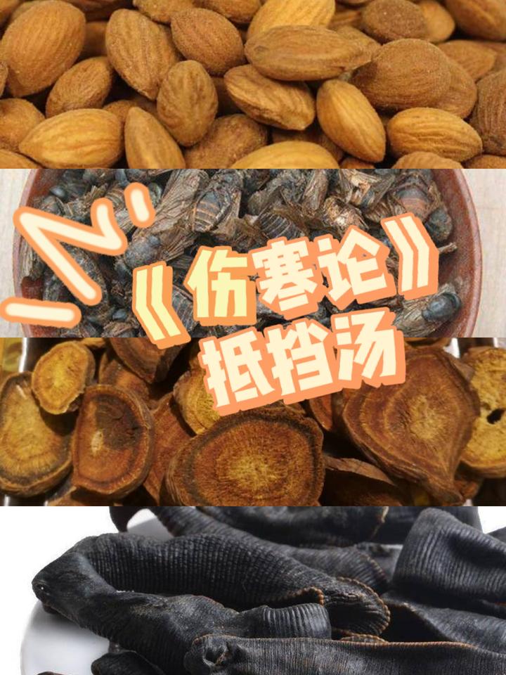 「抵当汤」、「抵当丸」偌水老师注解《伤寒论》第139-141条 - 知乎
