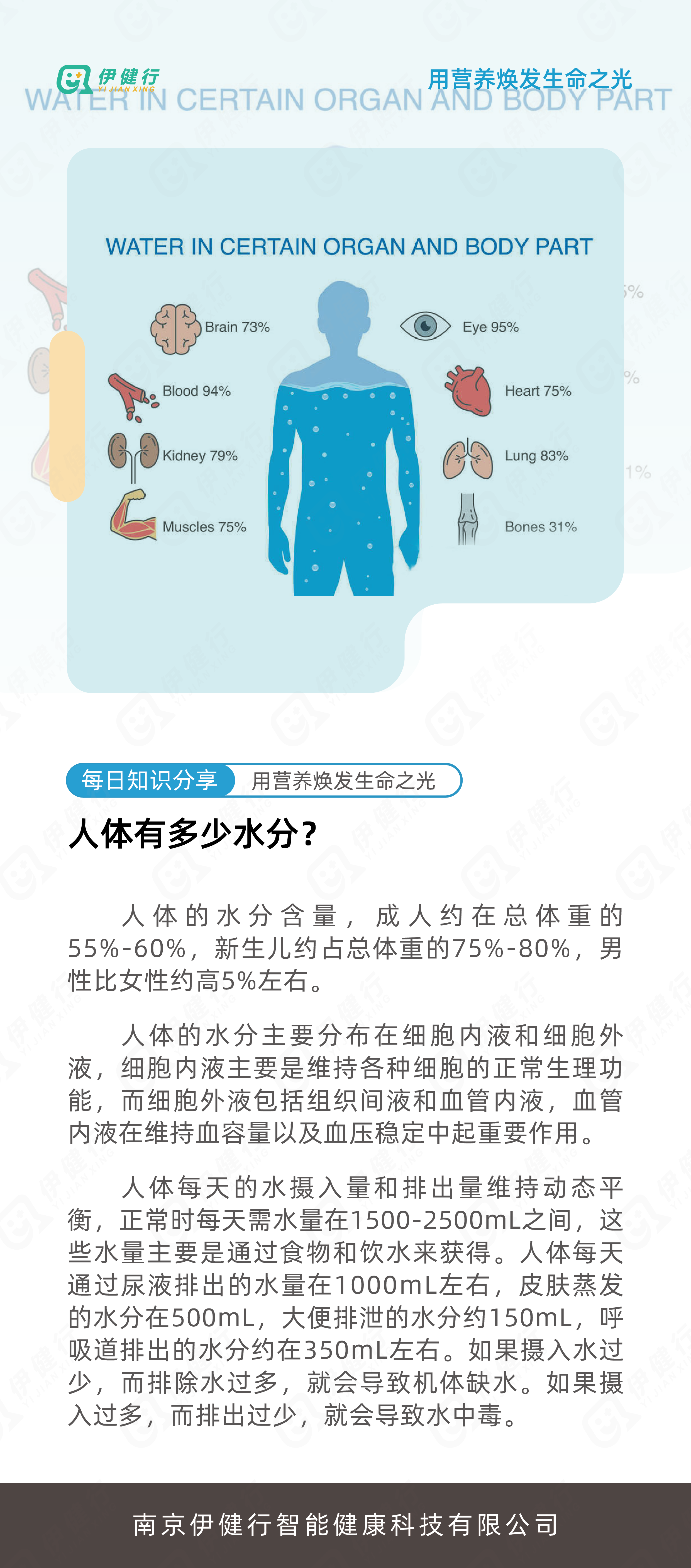 人体的含水量占比到底是多少