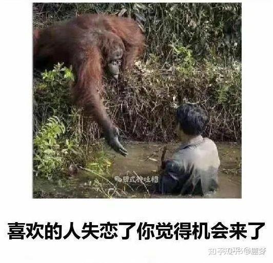 女生是怎样看待自己的舔狗的? - 知乎