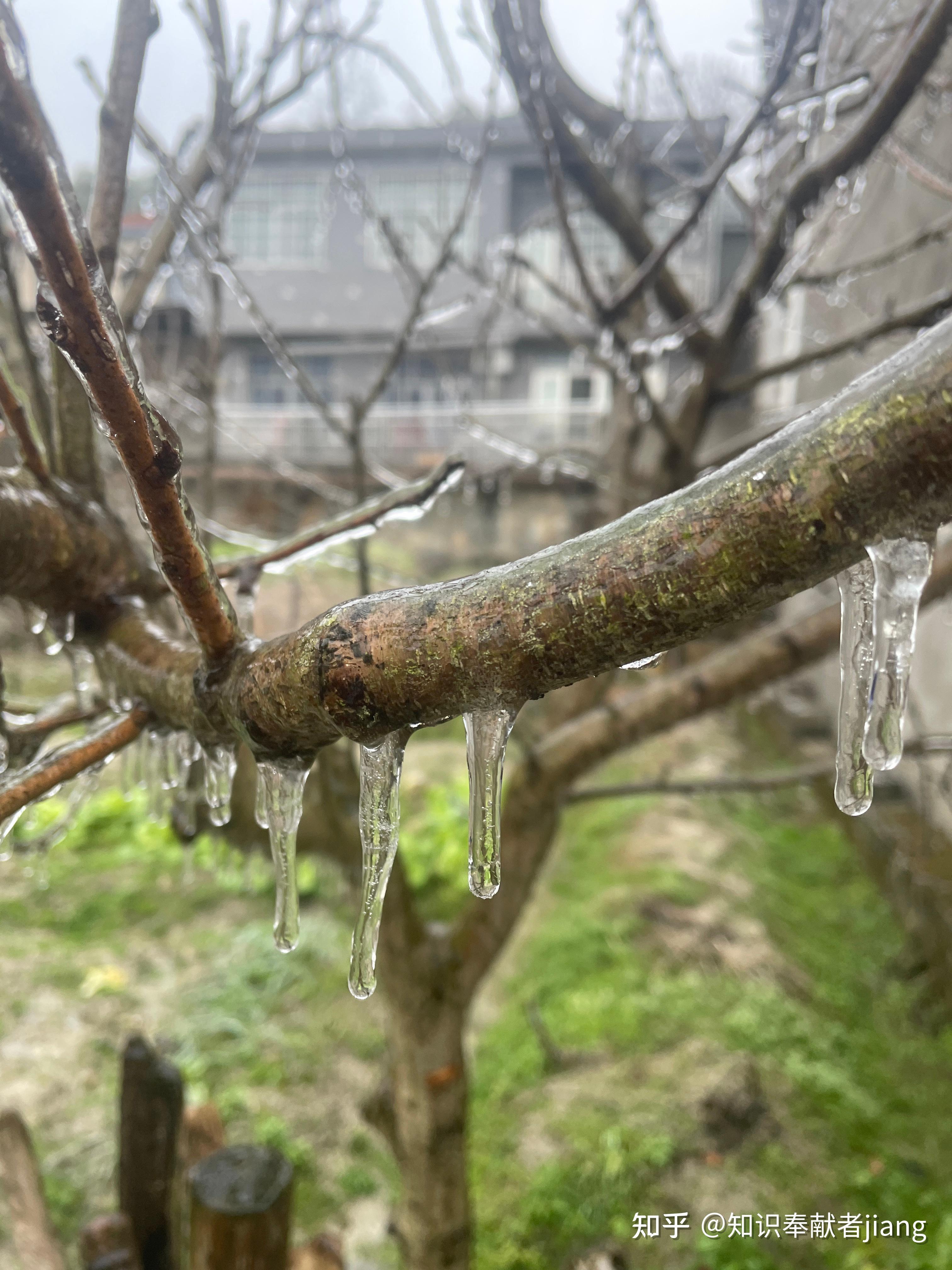 今天苏州发生大面积交通事故,面对冻雨,如何安全出行? - 知乎