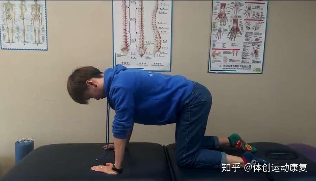 多裂肌有哪些好的训练方法?爬行可否锻炼多裂肌?