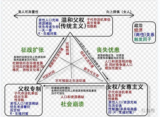 红丸主义小究 - 知乎