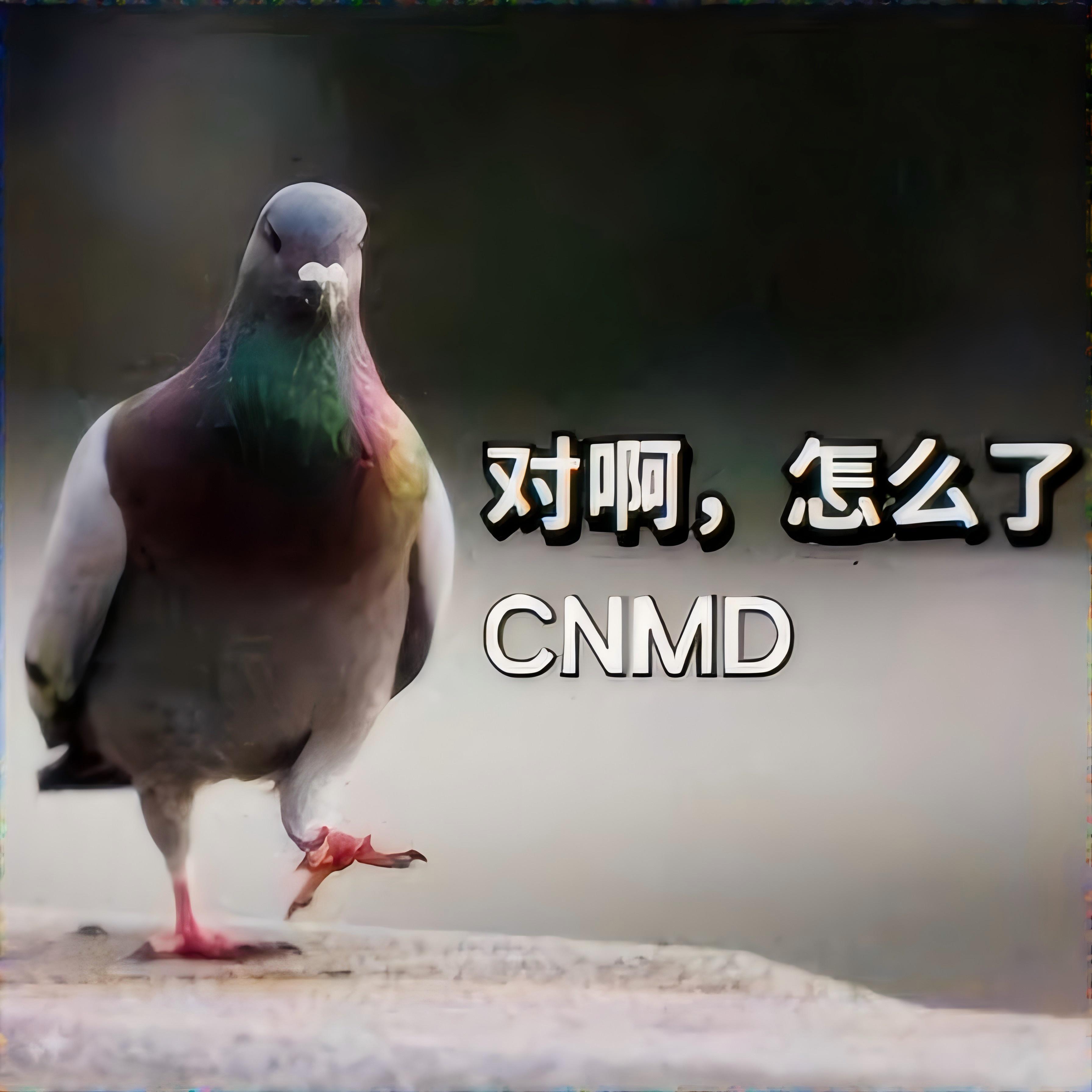 有人知道有一个表情包，一只鸽子在骂对啊，怎么了，cnmd，是什么意思呀？ - 知乎