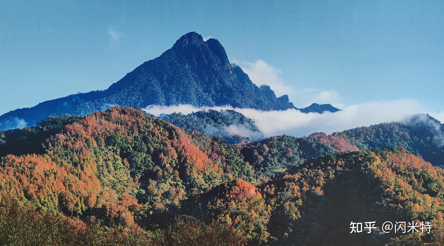 海南五指山：一个老年人扎堆的地方 - 知乎