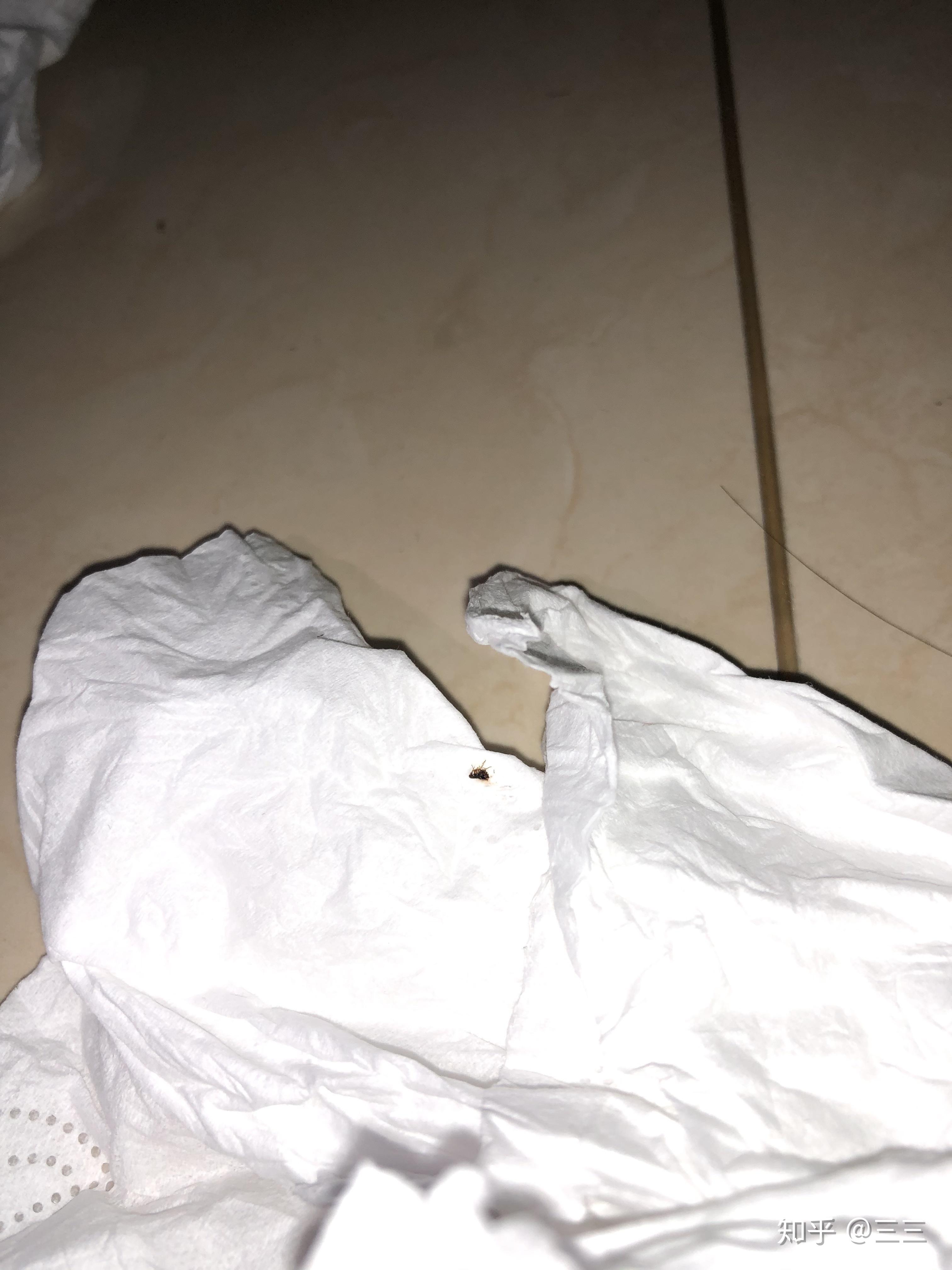 黑色的,捏不死,捏完之后身体变得很薄很扁还在爬,这到底是什么虫子啊?