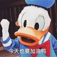 Zhihu profile picture for @decadence