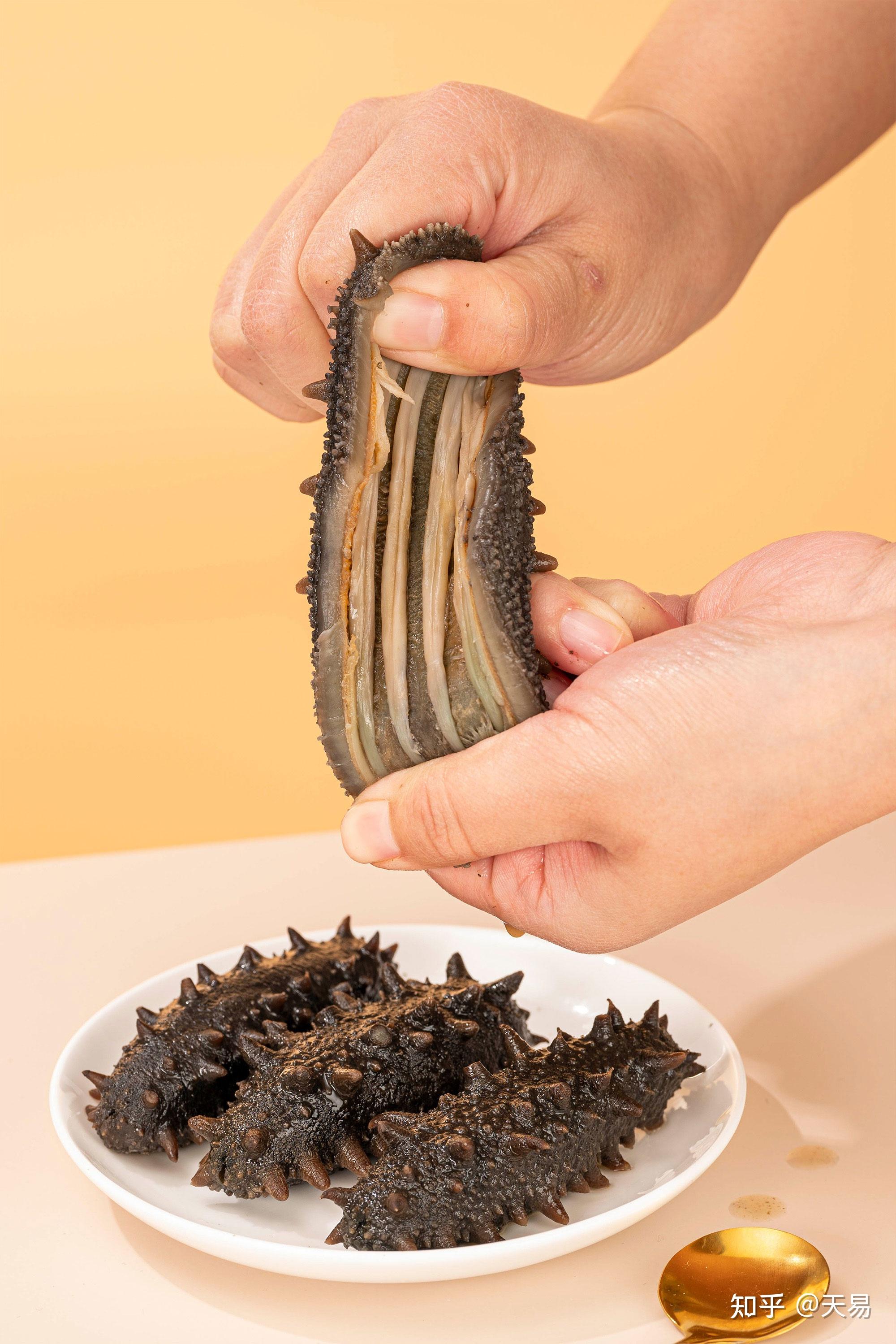 知道的来说下上品堂和其他鲜食海参有什么不一样?