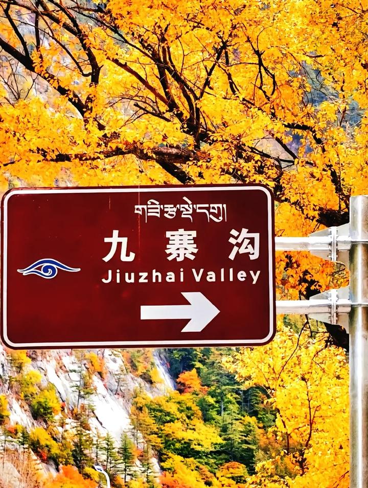 九寨沟游玩避坑攻略,必看! - 知乎