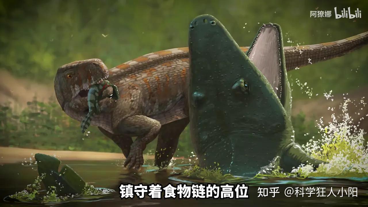 史上最大的两栖动物是谁?两栖动物曾称霸海洋? - 知乎