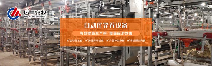 炎热的夏季鸡笼养鸡如何预防和防治热应激,远卓农牧养殖课堂 - 知乎