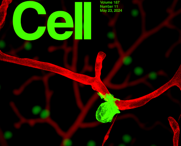 Cell | 肿瘤免疫逃逸新机制：IGSF8与NK受体 - 知乎