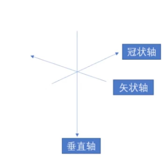 收藏贴:解剖知识汇总