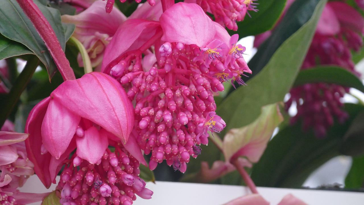 3. 珠宝选购指南