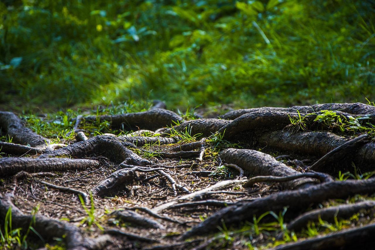 5. 三线接两线方法