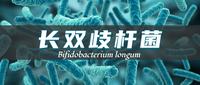 认识两歧双歧杆菌(Bifidobacterium bifidum)及其健康益处 - 知乎