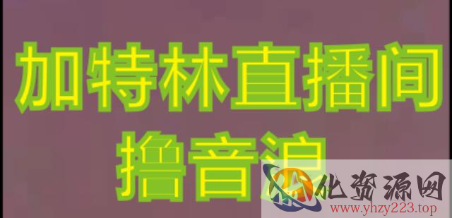 抖音加特林直播间搭建技术，抖音0粉开播，暴力撸音浪，2023新口子，每天800+【素材+详细教程】