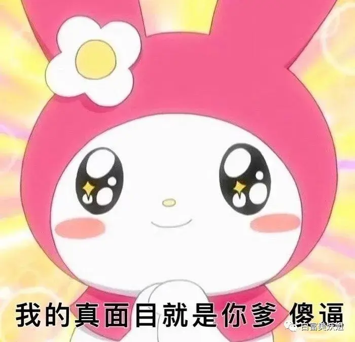 如何评价孙一宁