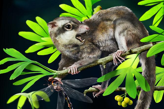 我们竟然都是蜥蜴人谈从爬行到哺乳的进化哺乳型动物