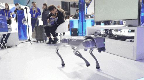 动图封面