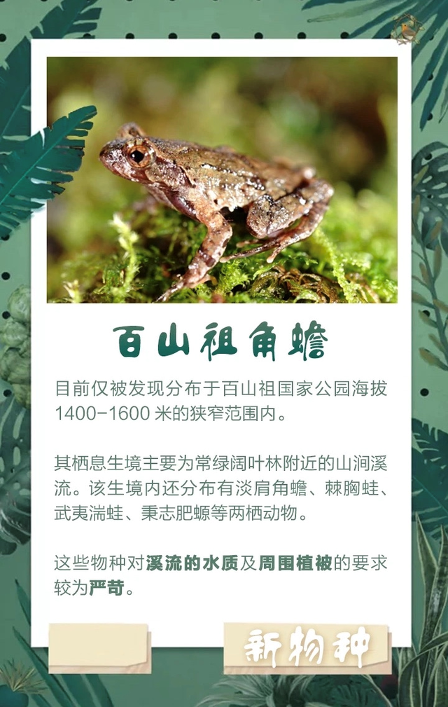 2020年哪些新物种被发现? - 知乎