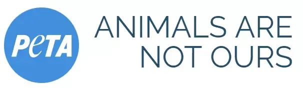 如何评价peta? - 知乎