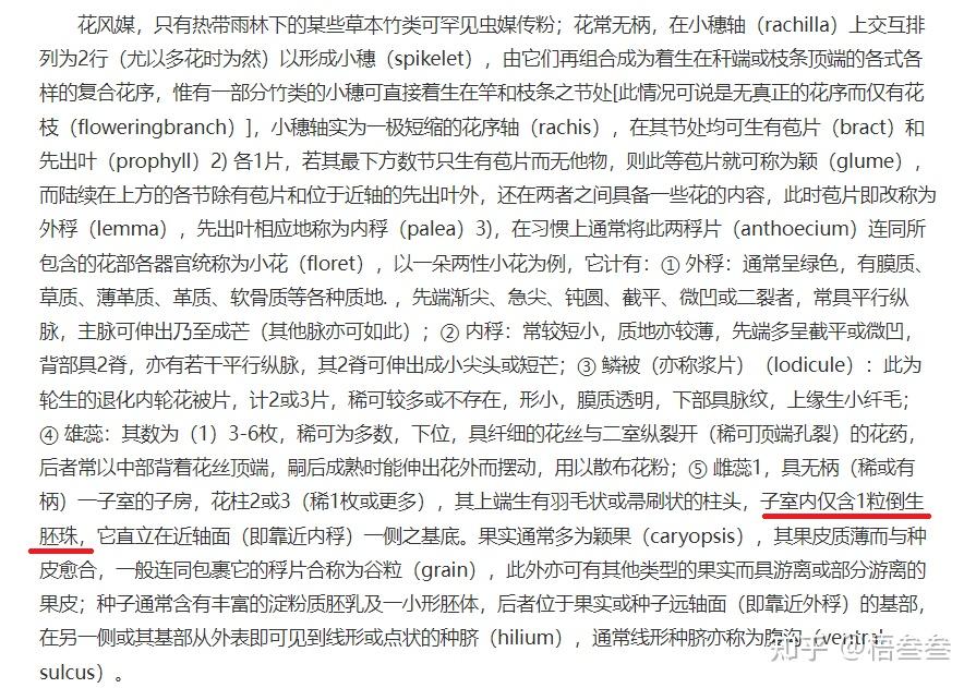 小麦胎座类型是什么? - 知乎