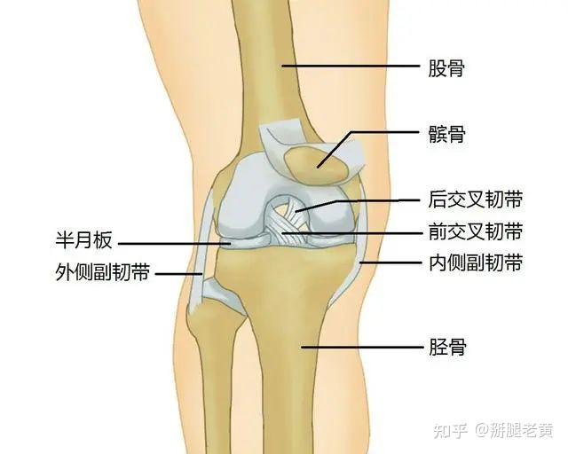 踝关节支具的问题