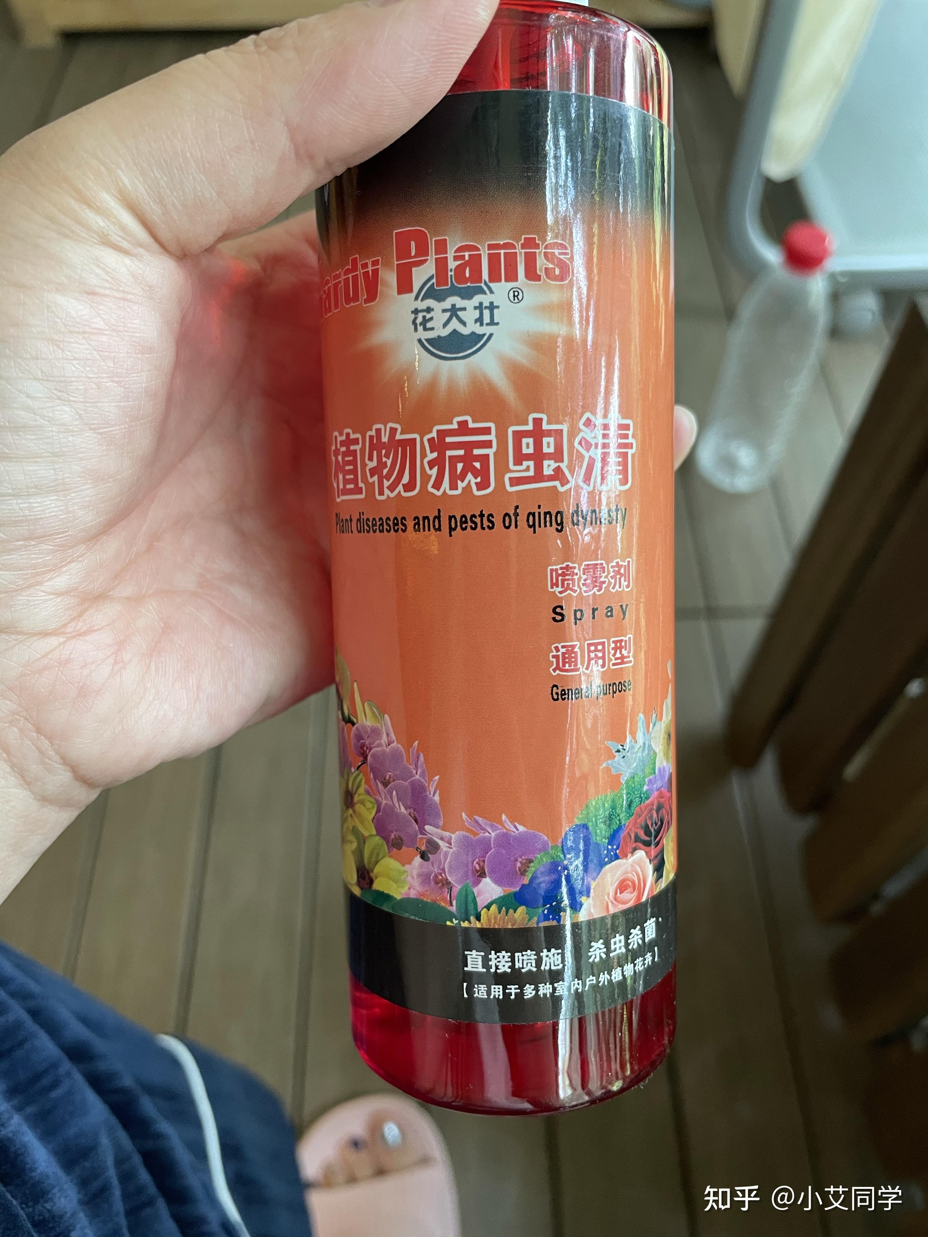 我的茉莉花生了这种虫请问是不是蚜虫
