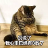 丝丝saren