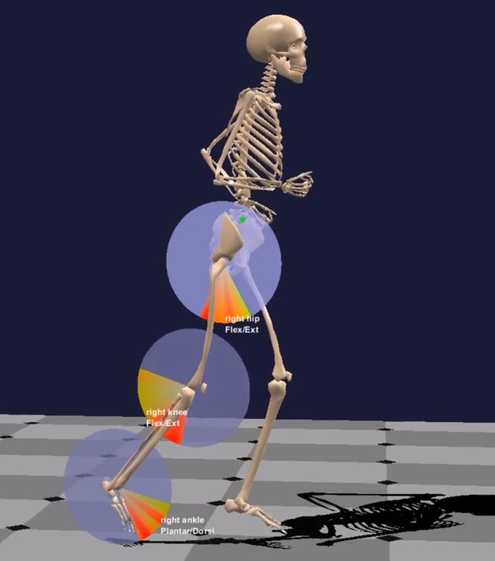 什么是生物力学分析要怎么做如何免费申请试用软件