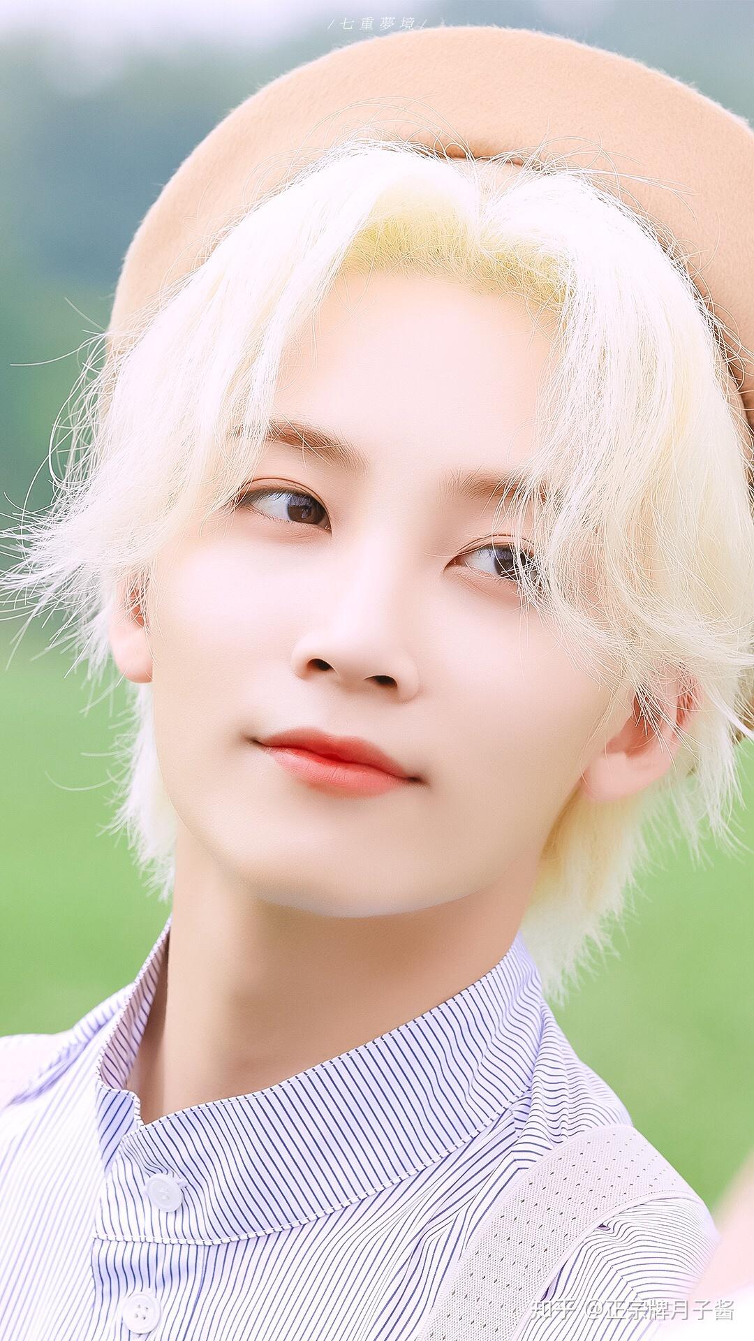 有没有seventeen各个成员的神图