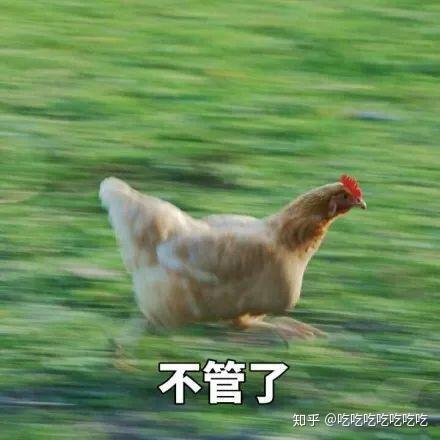 关注问题 67 写回答 登录/注册 微博 豆瓣 表情包 有没有奔跑的鸡