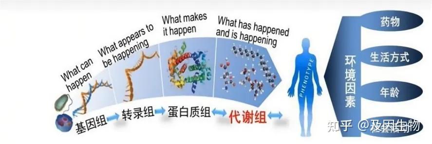 收藏！轻松掌握代谢组学结果解读 - 知乎