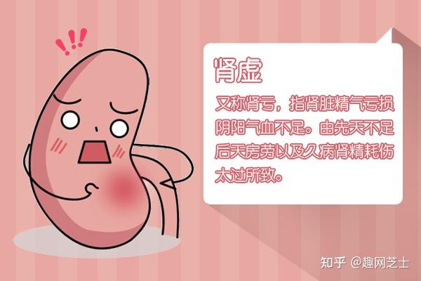 两性大揭秘丨肾虚到底是什么，如何缓解？ - 知乎